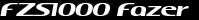 MCname FZS1000